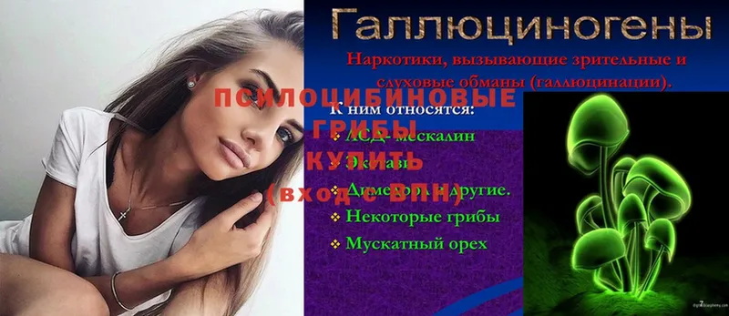 Галлюциногенные грибы Psilocybe  где можно купить наркотик  Солигалич 